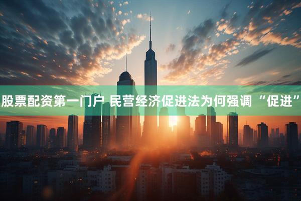 股票配资第一门户 民营经济促进法为何强调 “促进”